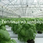 Как сделать теплицу из шифера своими руками, фото